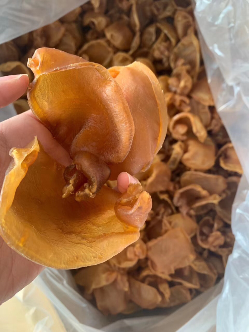 老花胶黄花胶片1斤