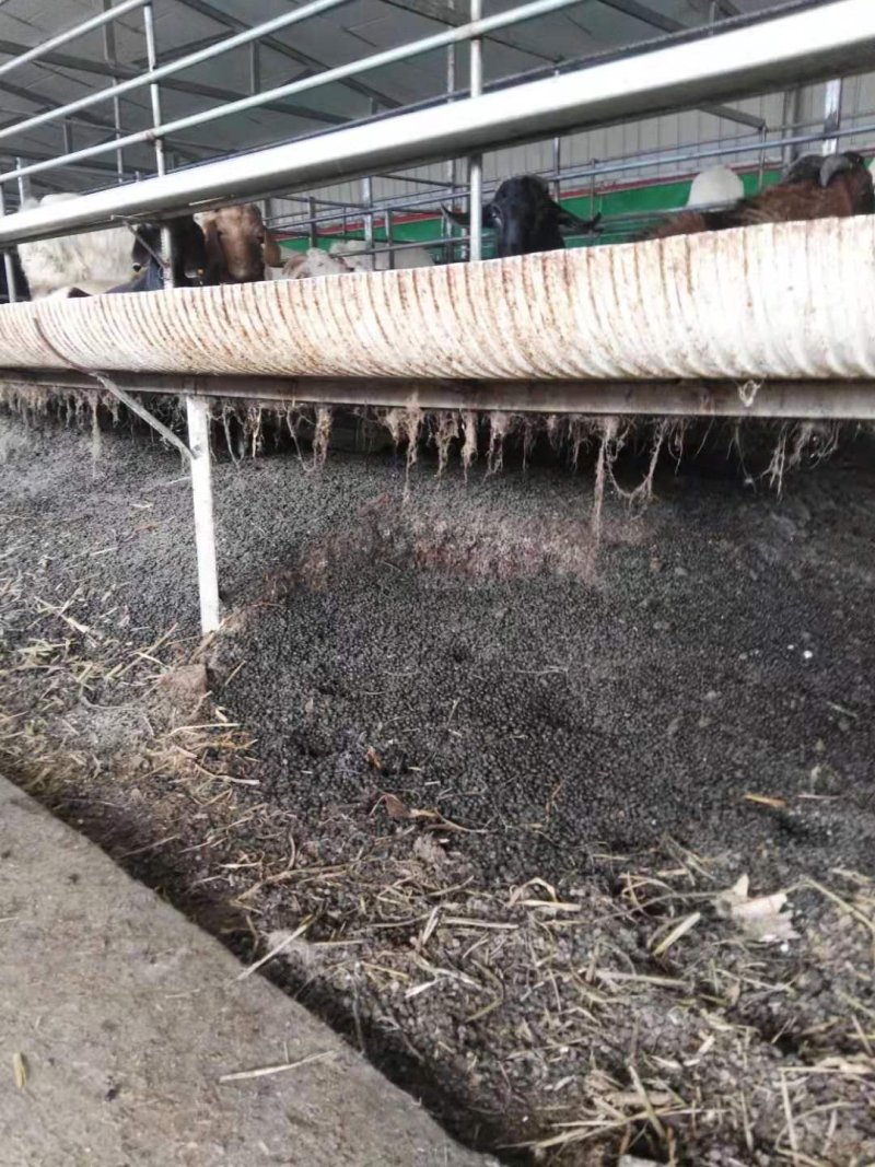 羊粪纯颗粒干羊粪养分充足有机质含量高