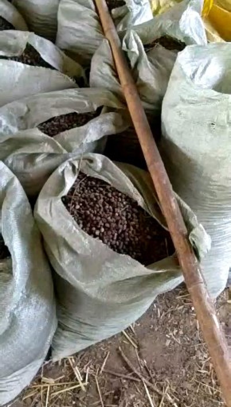 兔粪常年出售优质兔粪养分充足有机质含量高