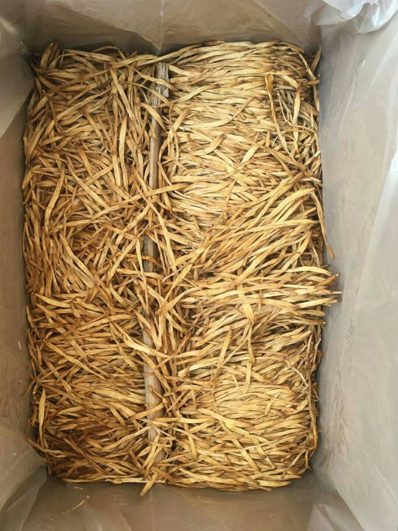 【精选黄花菜】祁东黄花菜新货大白条冷藏干黄花菜