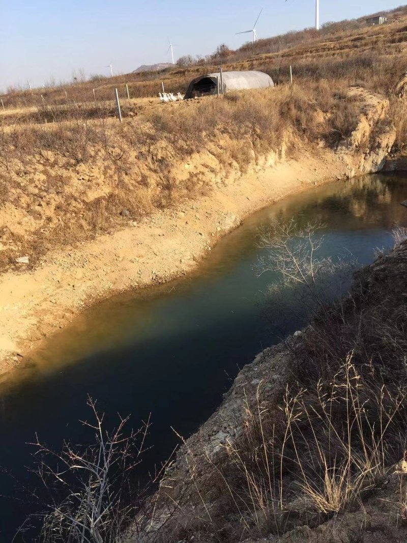 出租土地