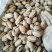 2019年新货，碧根果，个大，人饱满