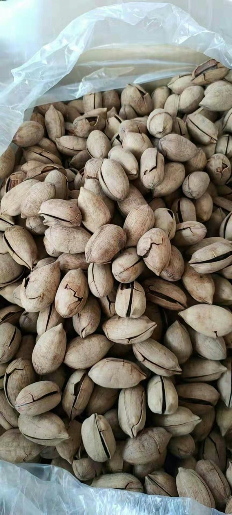 2019年新货，碧根果，个大，人饱满