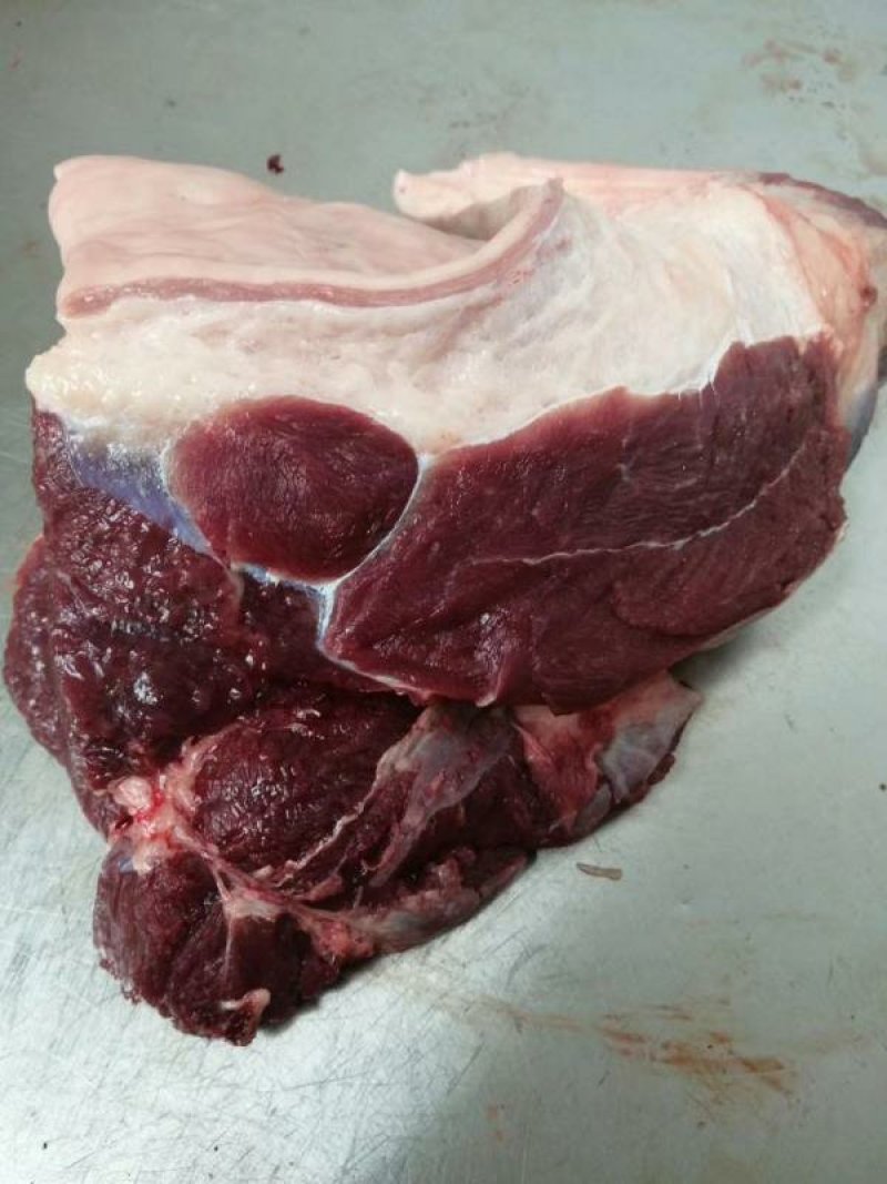 大量供应鲜马肉，养殖基地直发，可根据客户要求加工
