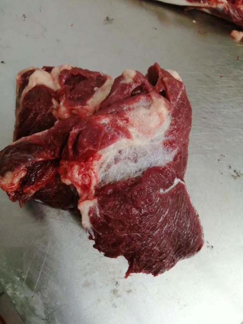 大量供应鲜马肉，养殖基地直发，可根据客户要求加工