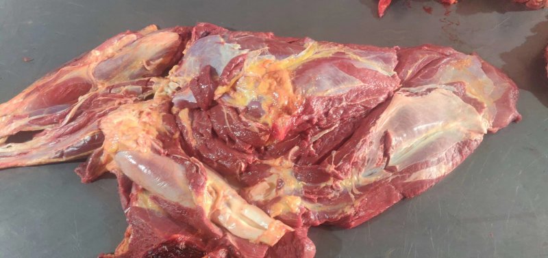 大量供应鲜马肉，养殖基地直发，可根据客户要求加工