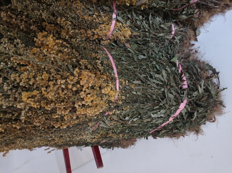 贵州中药材正品一枝黄花一束黄花包邮