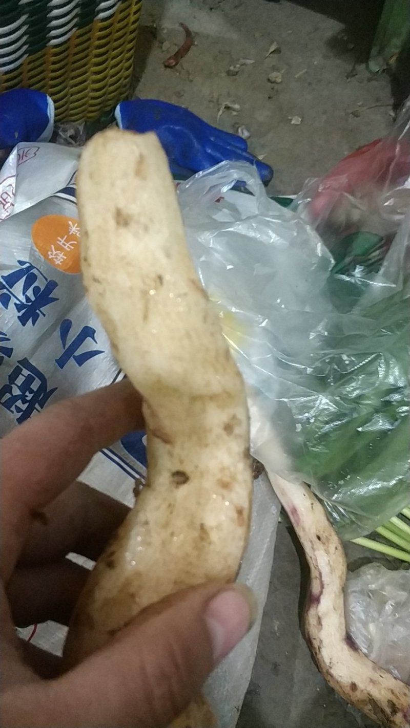 贵州野生山药香糯可口非种植山药量大包邮