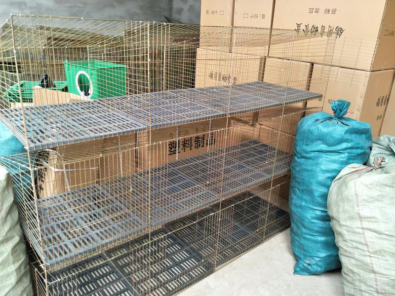 3层12位兔笼加密母兔笼厂家批发母兔子笼子带产箱