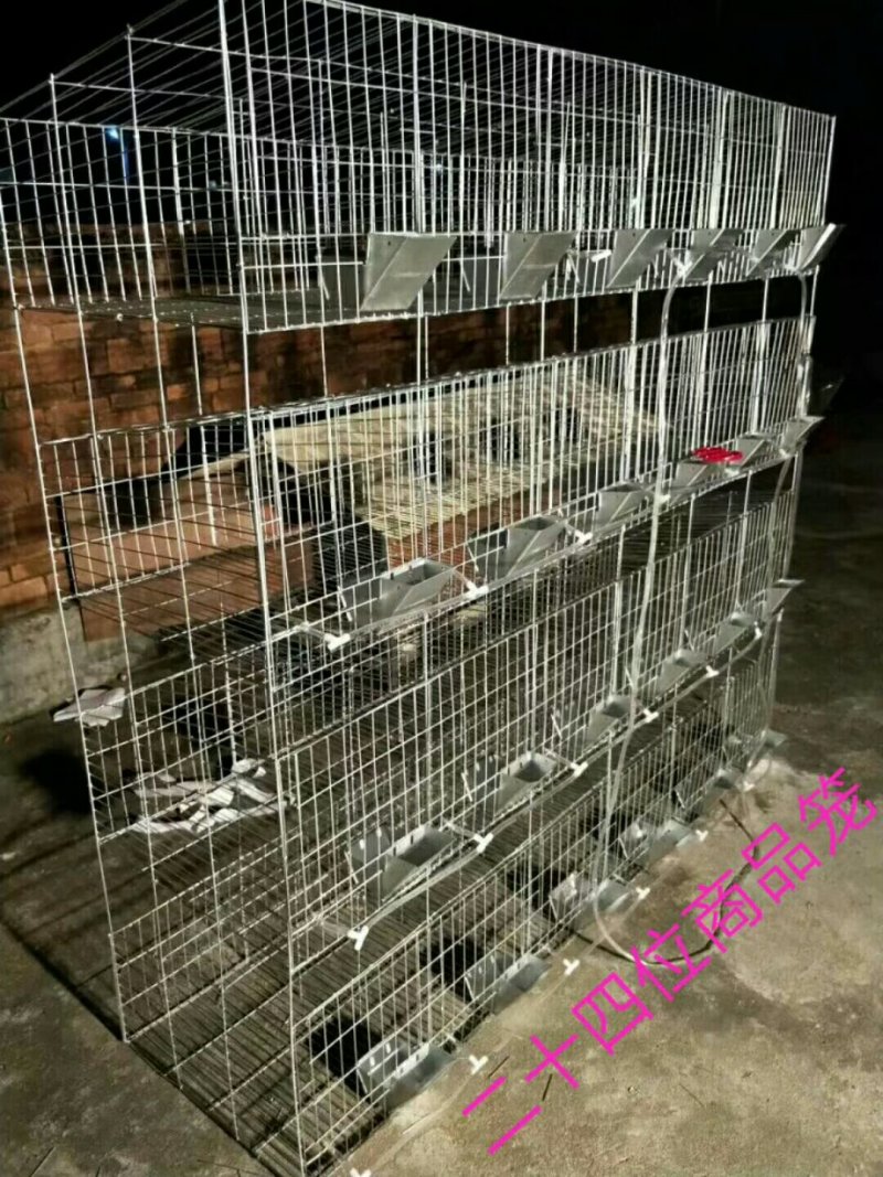 加粗加密兔笼种兔笼商品笼加粗12位9位免清粪母兔笼