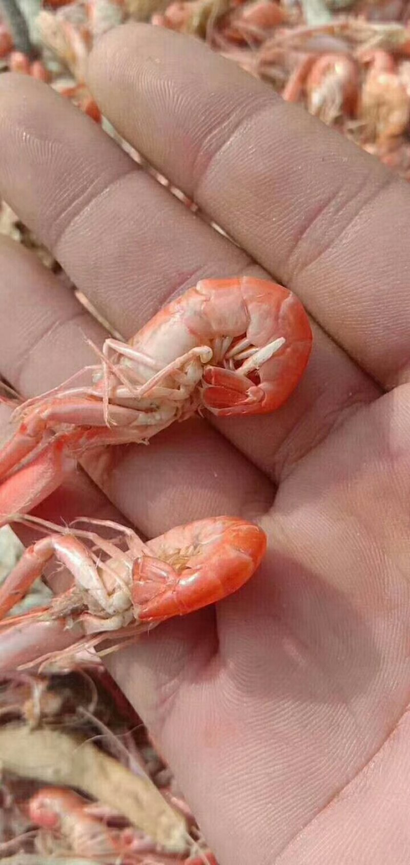 爪虾