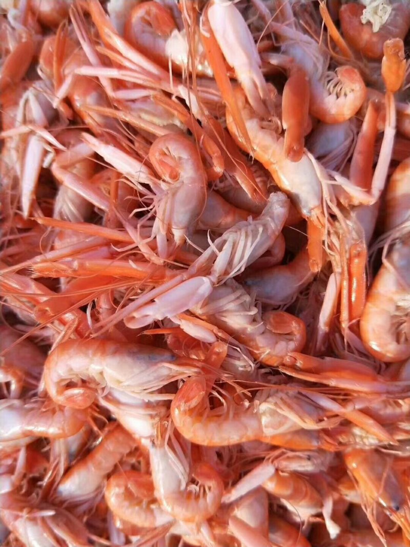 爪虾