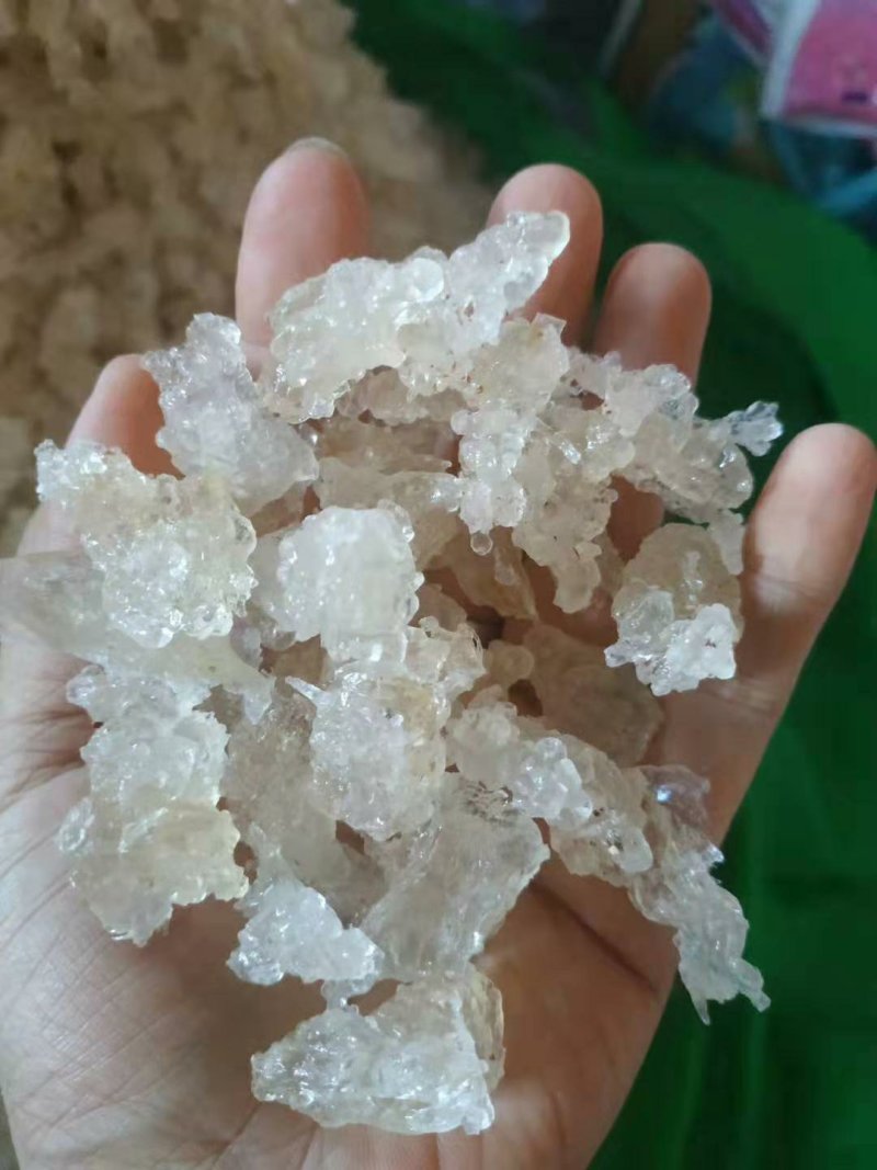 缅甸特级雪燕】缅甸原产地直发雪燕批发零售。