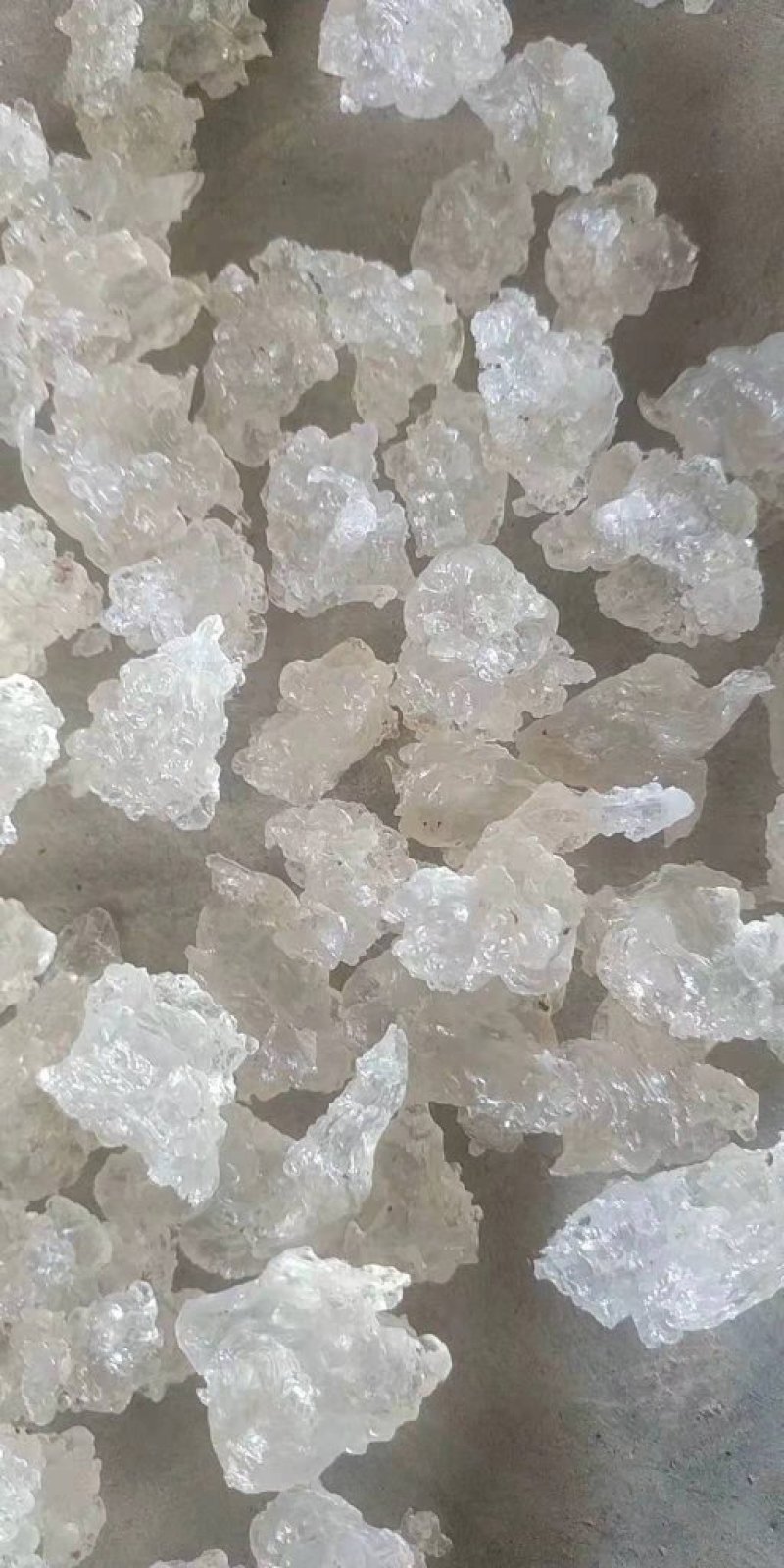 缅甸特级雪燕】缅甸原产地直发雪燕批发零售。