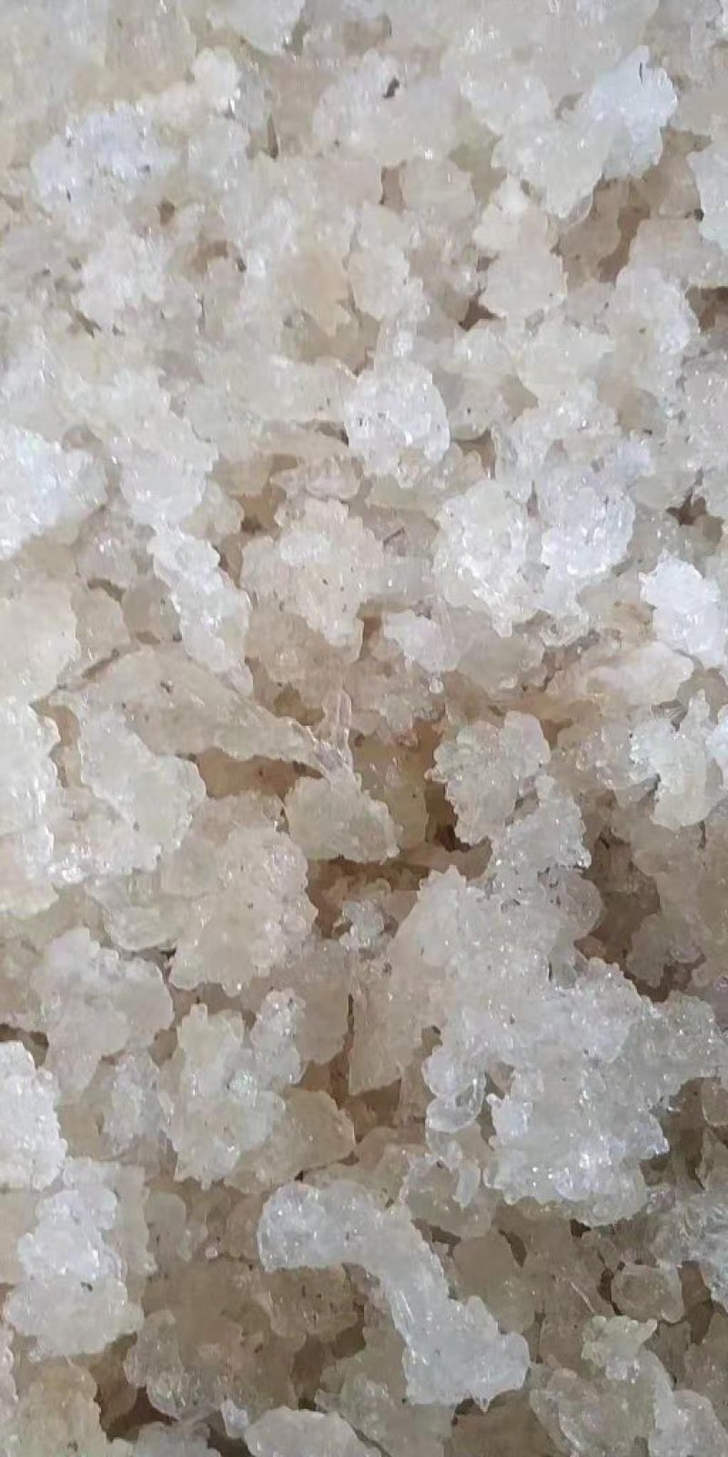 缅甸特级雪燕】缅甸原产地直发雪燕批发零售。