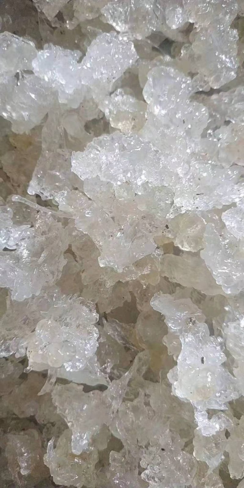 缅甸特级雪燕】缅甸原产地直发雪燕批发零售。