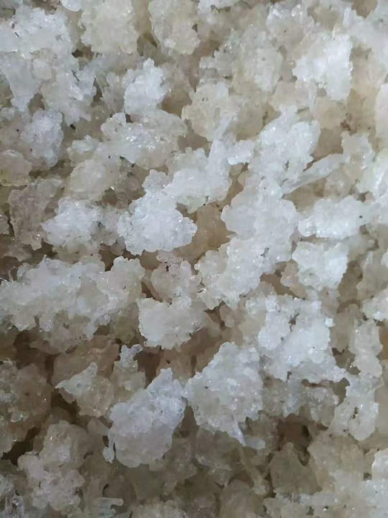 缅甸特级雪燕】缅甸原产地直发雪燕批发零售。