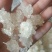 缅甸特级雪燕】缅甸原产地直发雪燕批发零售。