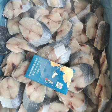 鲅鱼块燕鲅鱼去头去尾的非常好吃