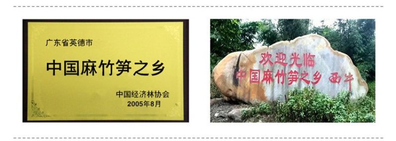 免泡发笋干衣野生手扒泡嫩竹笋衣笋尖片小包装批发非腐竹豆皮