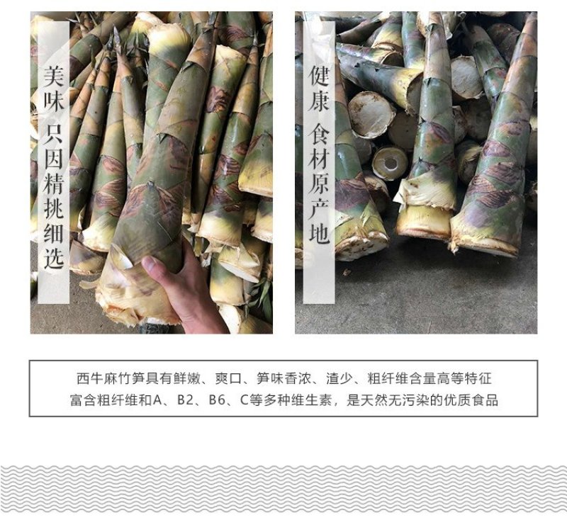 免泡发笋干衣野生手扒泡嫩竹笋衣笋尖片小包装批发非腐竹豆皮