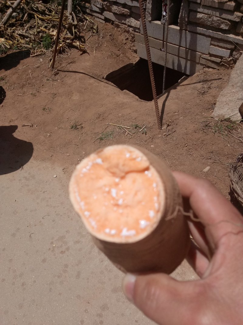烟薯，红薯产地常年有货，各种品种都有，一手货源，坏烂包赔