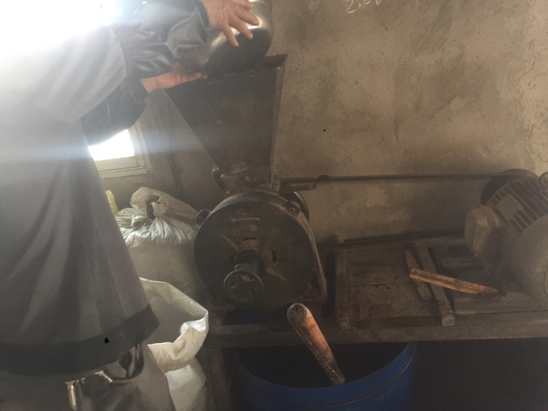 广西纯野生小茶压榨山茶籽果油老茶籽树茶籽油20斤包邮