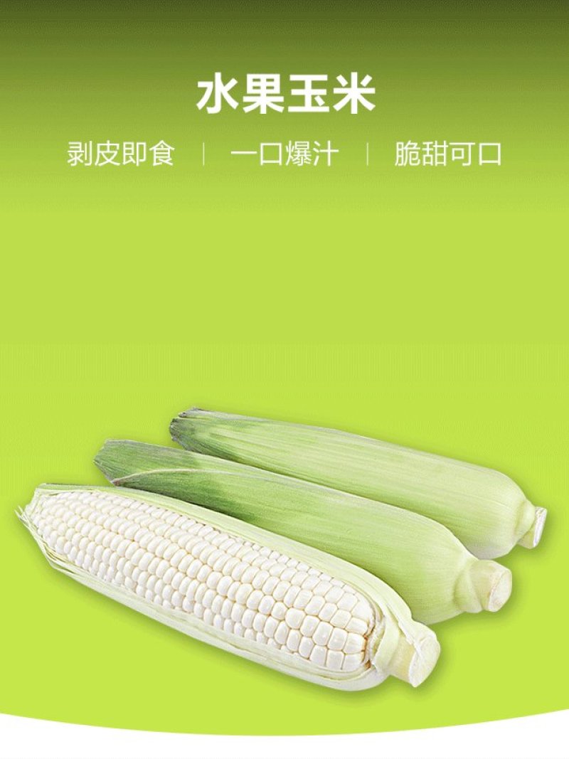 福建漳州，爆浆漳州牛奶水果玉米，一口爆汁，清甜爽口