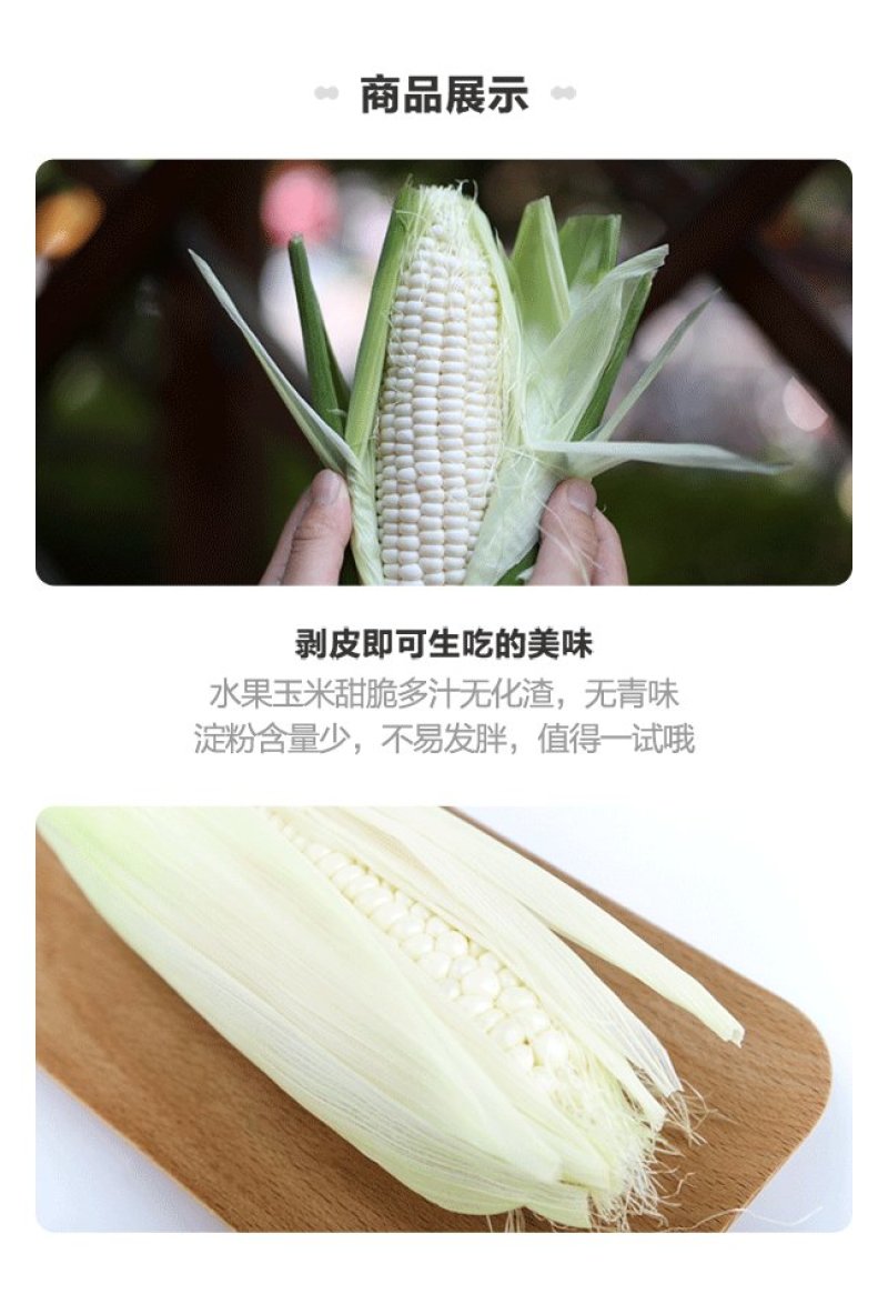 福建漳州，爆浆漳州牛奶水果玉米，一口爆汁，清甜爽口