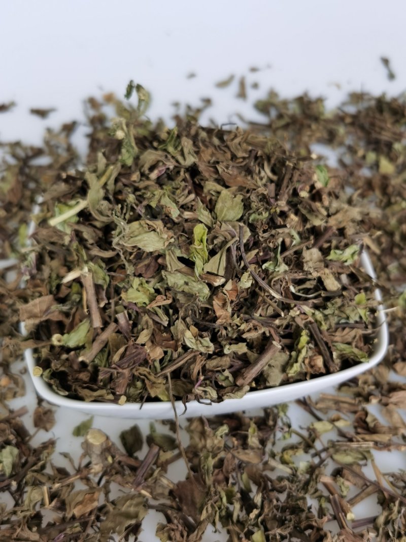 产地批发猫须草优质猫须公