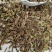 产地批发猫须草优质猫须公