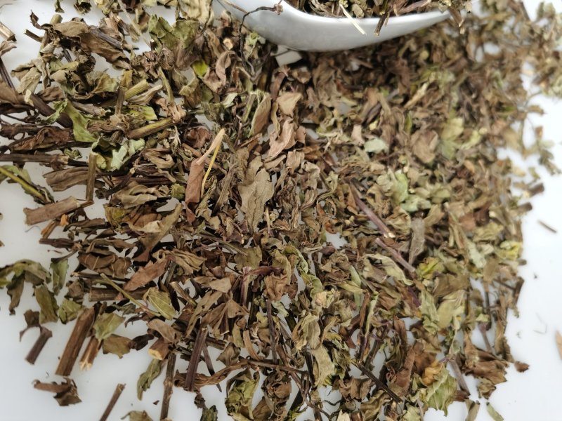 产地批发猫须草优质猫须公