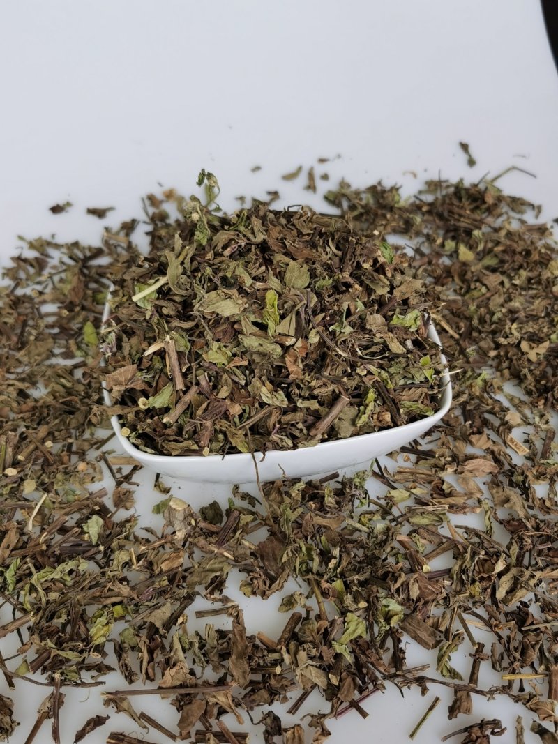产地批发猫须草优质猫须公