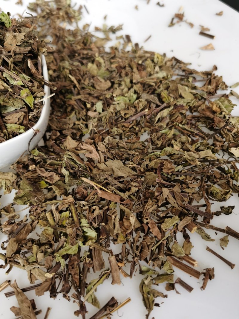 产地批发猫须草优质猫须公