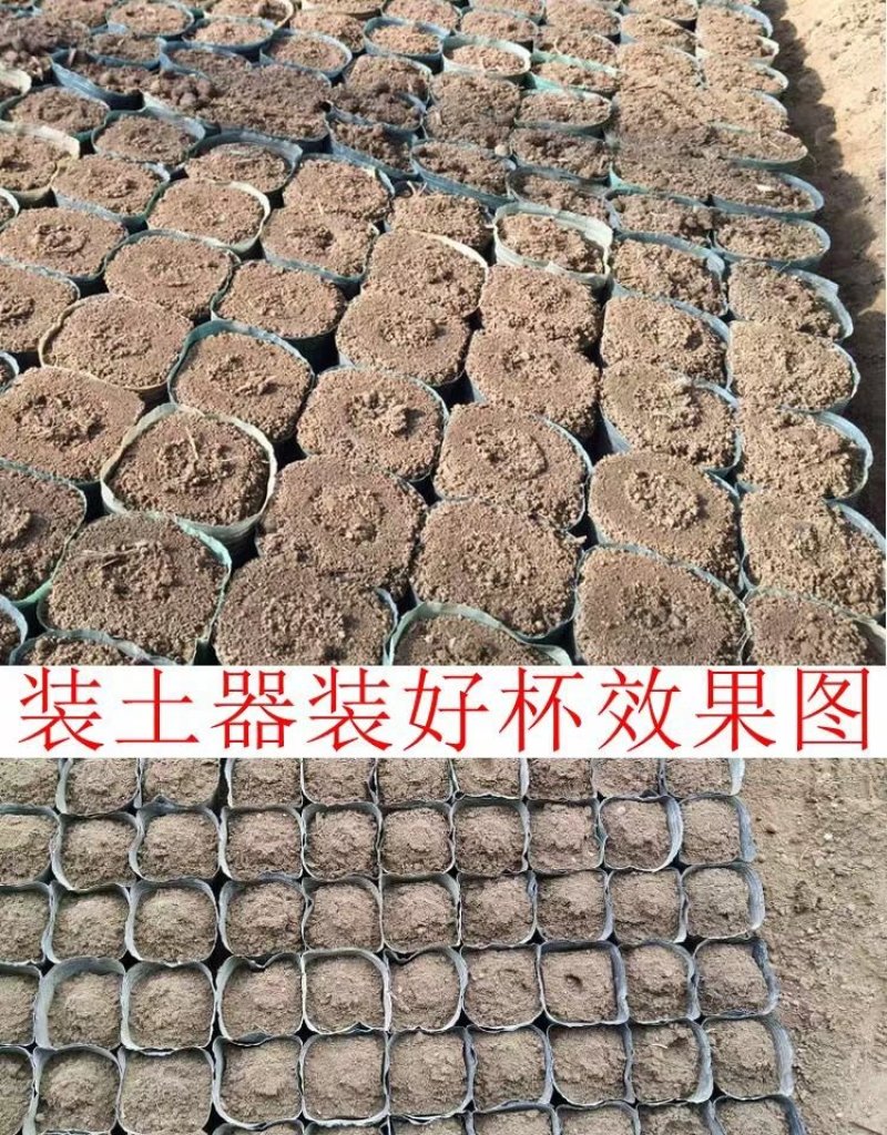 【营养杯装土神器】装土器，规格齐全，省工省时，价格优惠