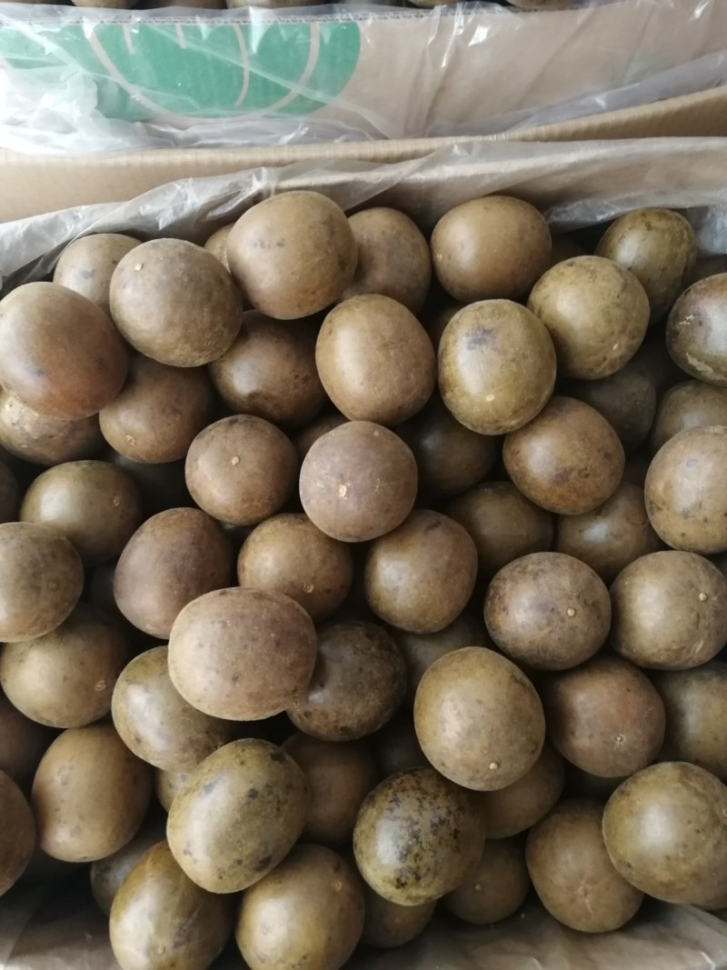 广西桂林罗汉果产地批发