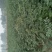 花椒苗一年二年苗，狮子头黄盖，无刺椒，常年供应，可发全国
