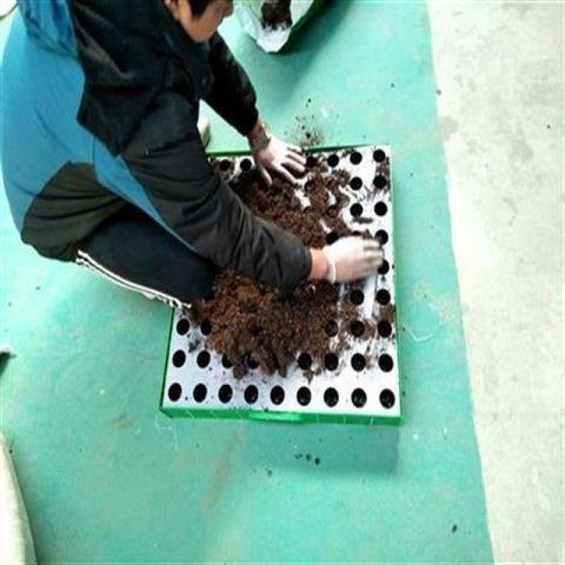 【营养杯装土神器】装土器，规格齐全，省工省时，价格优惠