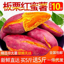 （软香绵甜）西瓜红蜜薯红薯新鲜沙地番薯农家地瓜香薯