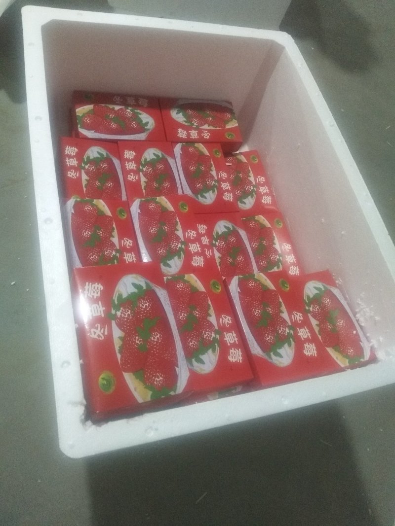 精品草莓鸡心果