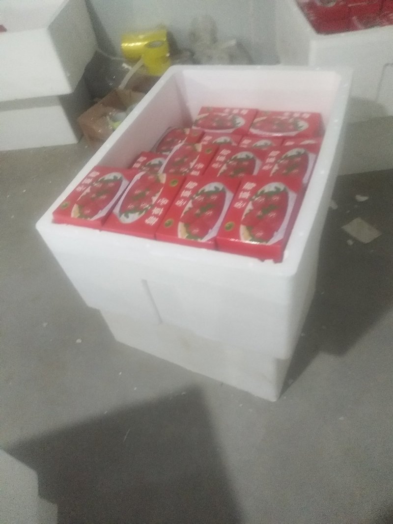 精品草莓鸡心果