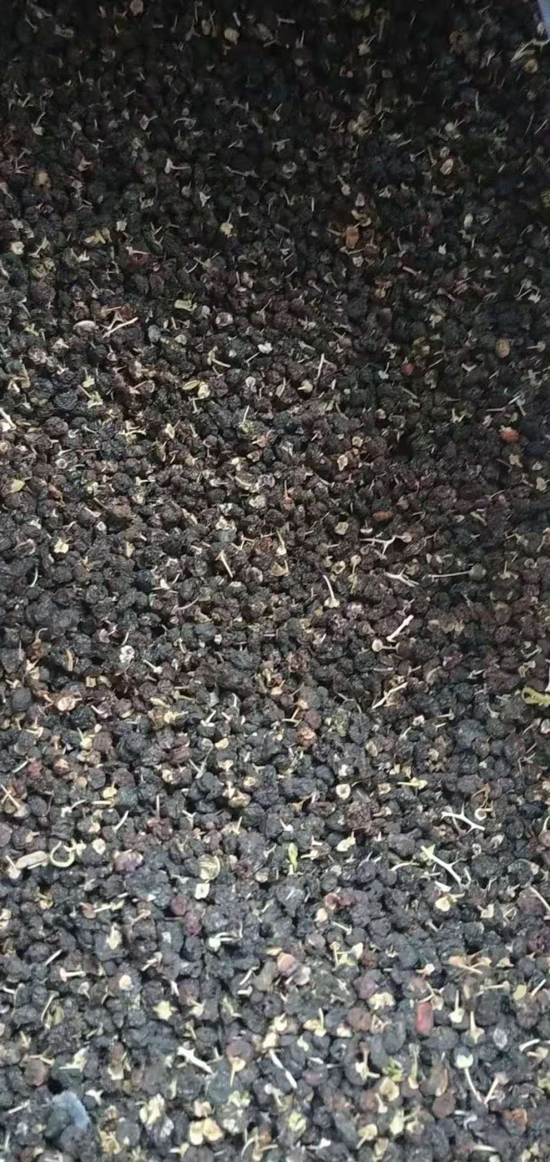 精品黑枸杞大量现货批发，欢迎咨询！