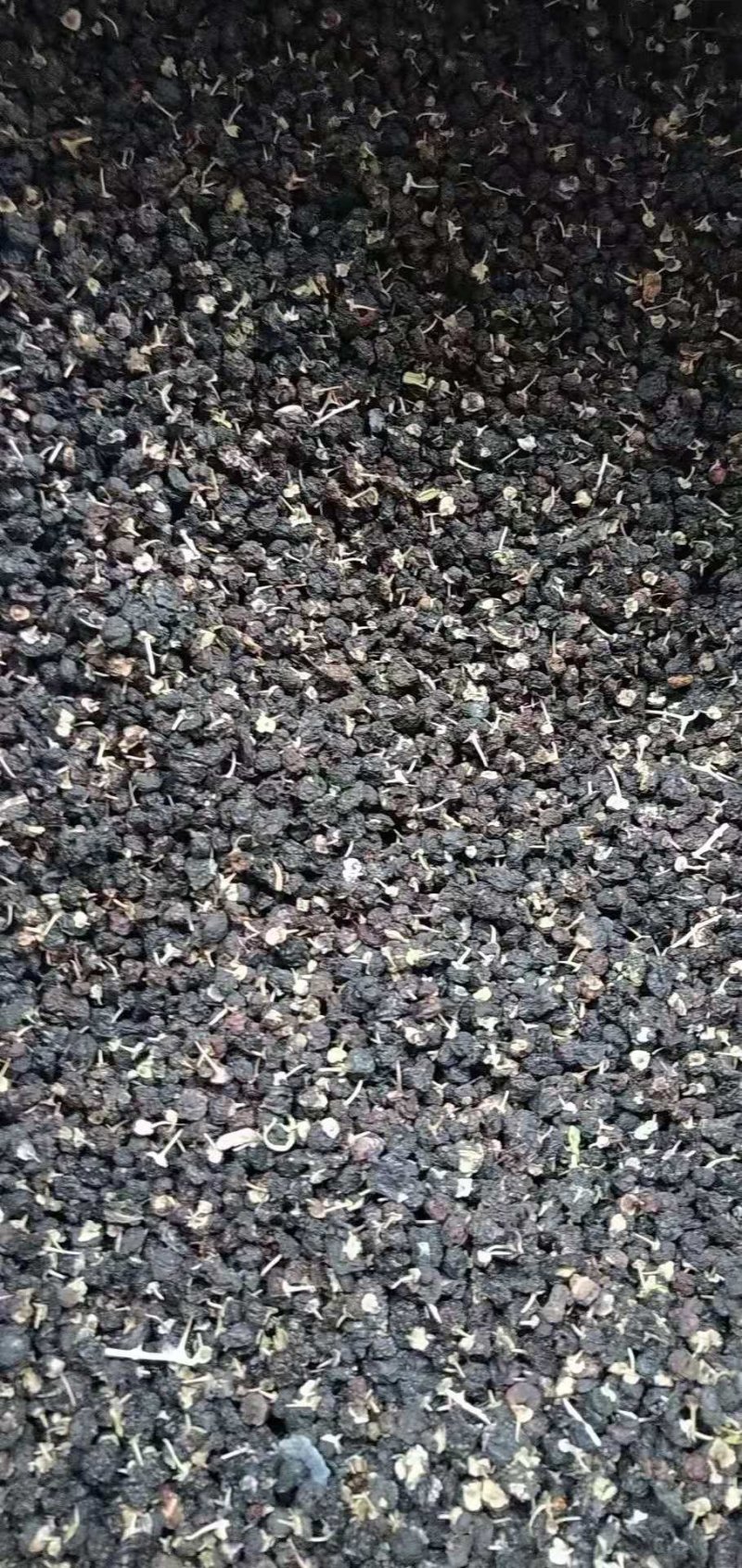 精品黑枸杞大量现货批发，欢迎咨询！