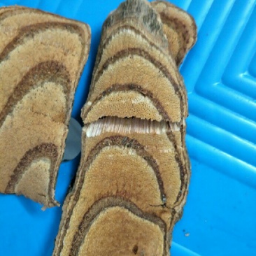 干货大量批发实惠。