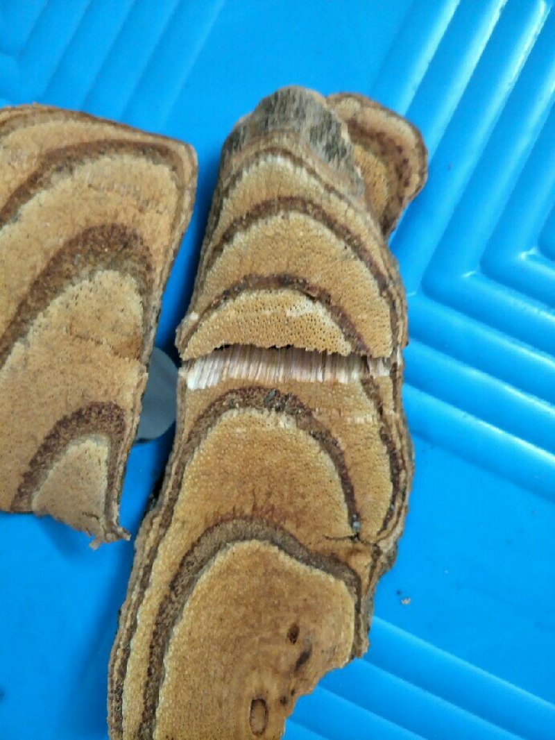 干货大量批发实惠。