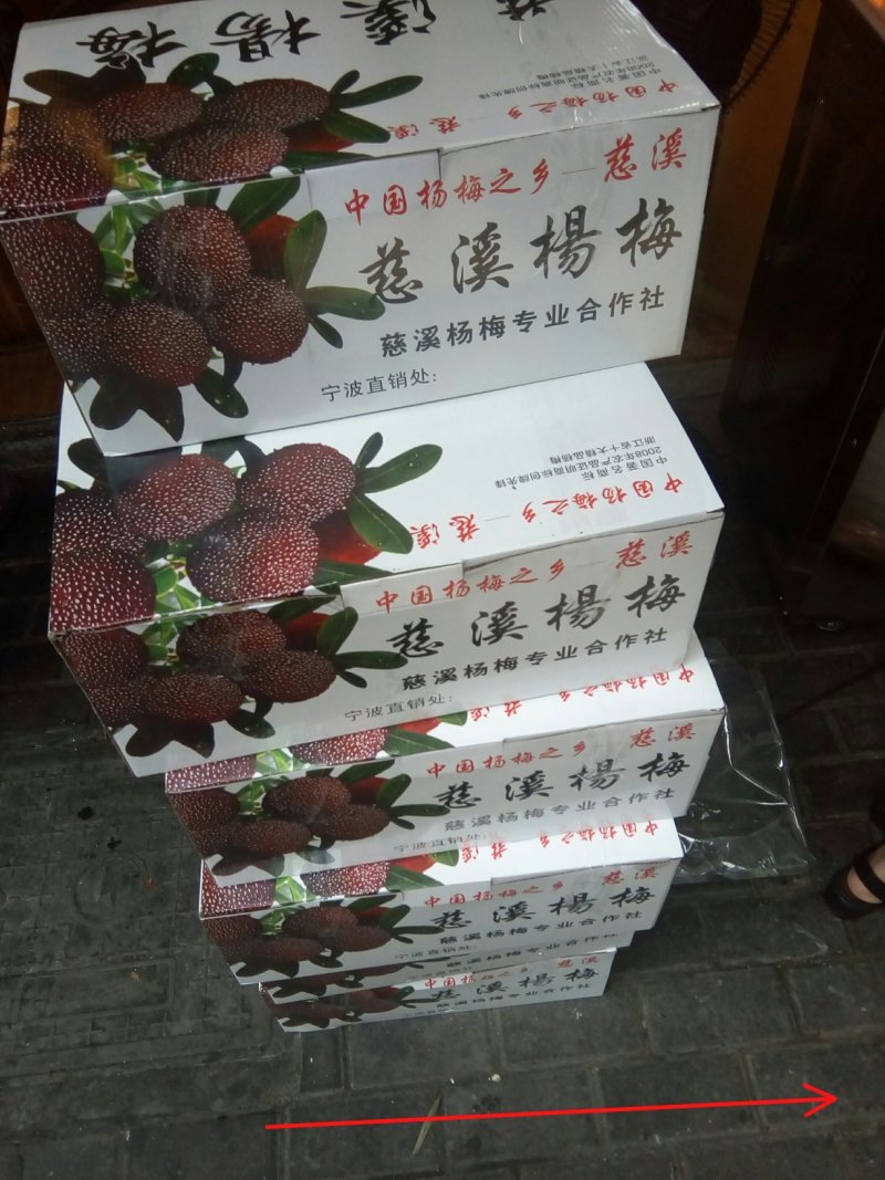 慈溪市荸荠种杨梅树苗