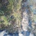 基地直供1到3公分优质石榴苗,软籽石榴苗,泰山红石榴苗。
