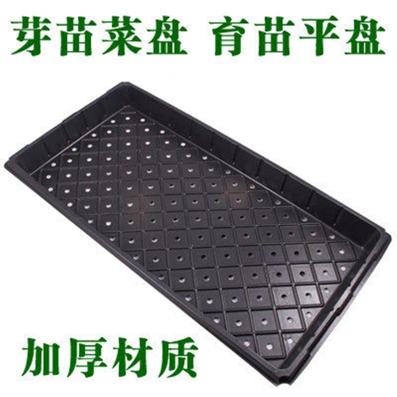 【一次性高品质育苗盘】穴盘，种植盘，穴盘芽菜托