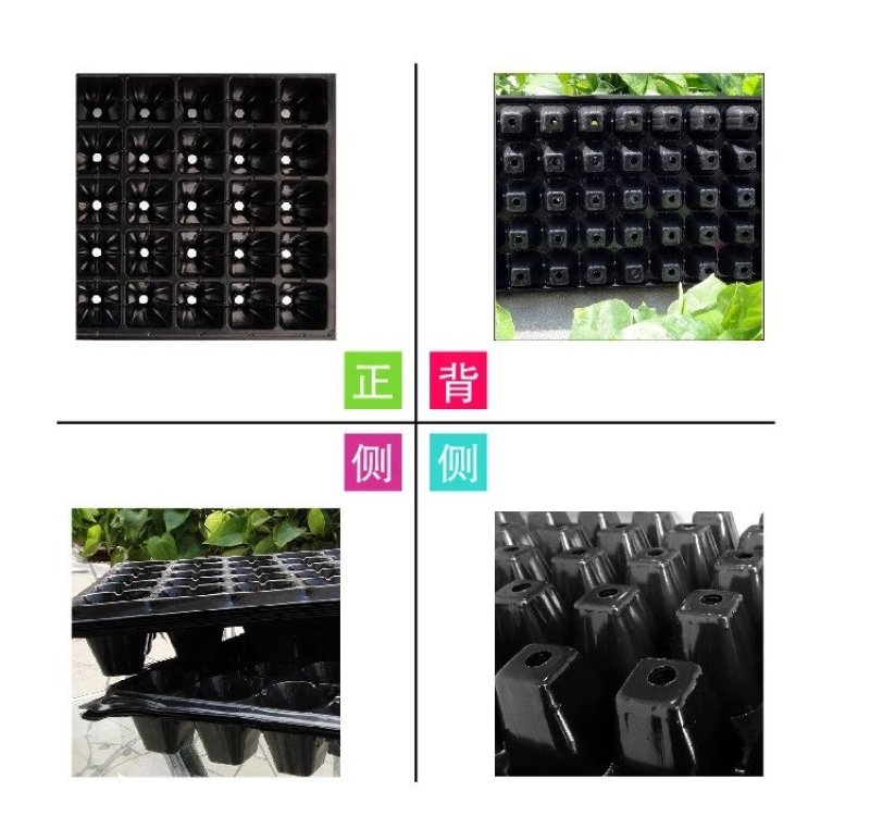 【一次性高品质育苗盘】穴盘，种植盘，穴盘芽菜托
