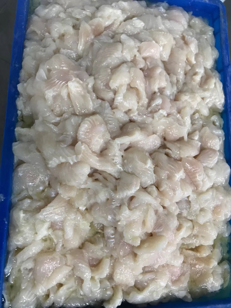 巴沙鱼